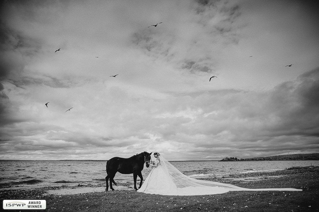 Edmonton, Alberta Wedding Photographer - Just Married Photography 